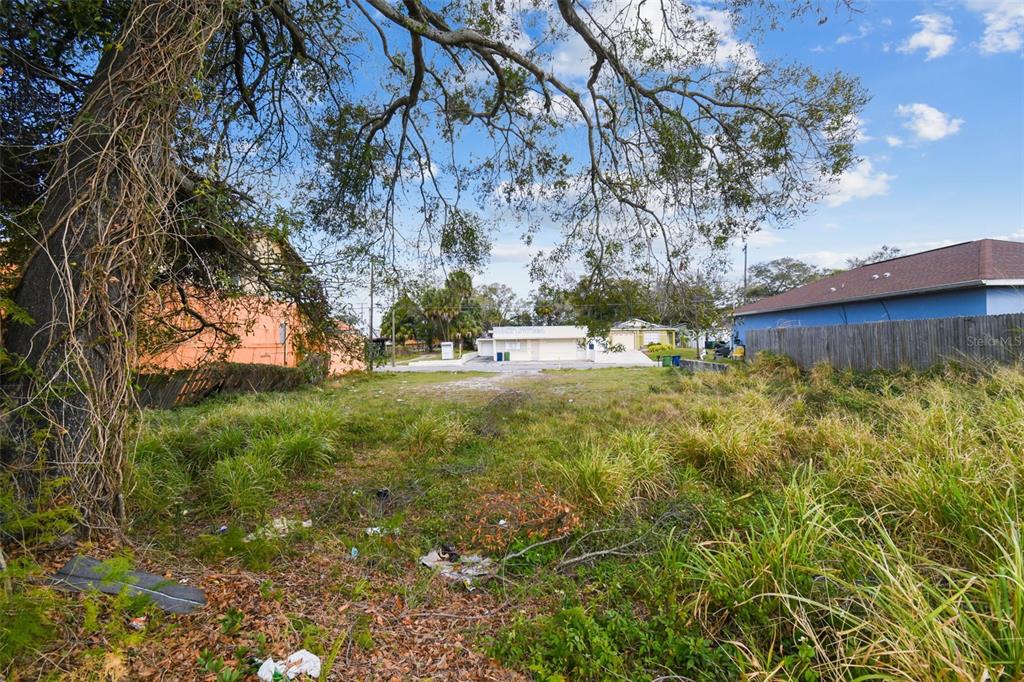 An overgrown vacant lot sits between a peach-colored building and a blue house — 2213 E COLUMBUS DRIVE, TAMPA, FL