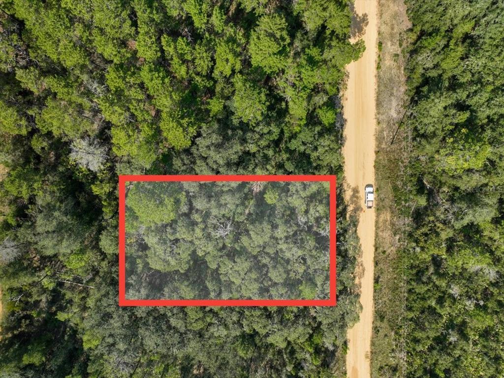An aerial view shows a rectangular plot of wooded land outlined in red beside a road — 211 SELMA AVENUE, INTERLACHEN, FL