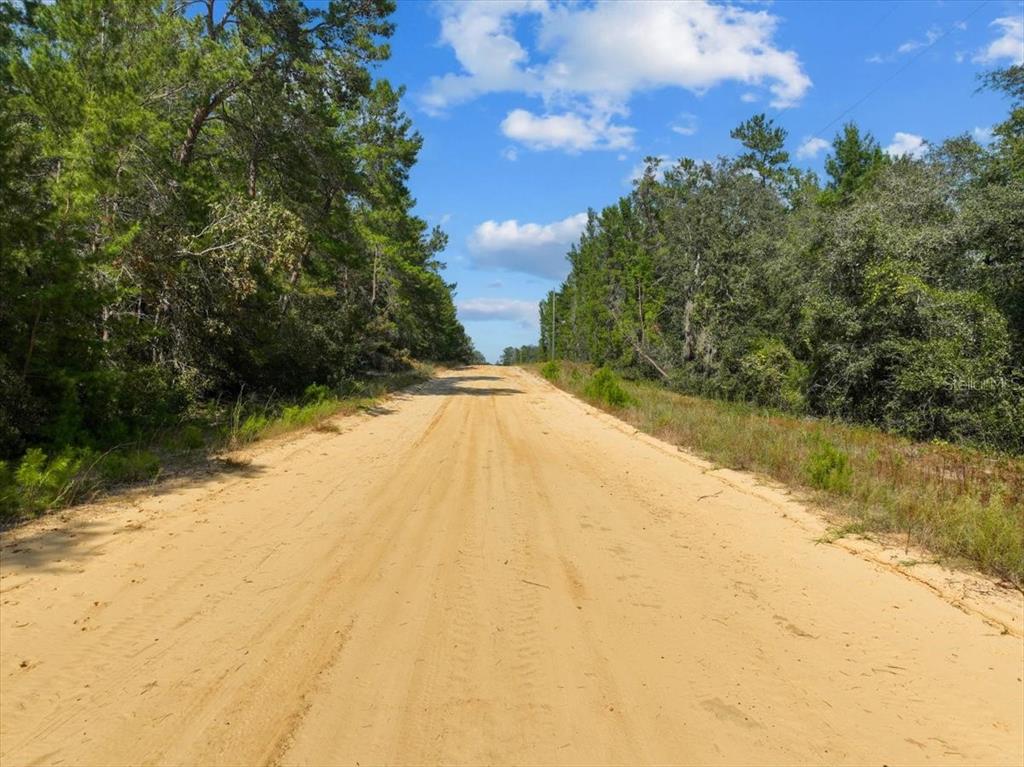 A dirt road stretches through a wooded area under a blue sky with clouds — 211 SELMA AVENUE, INTERLACHEN, FL