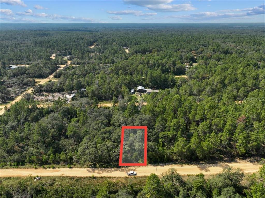 An aerial view shows a rectangular wooded lot outlined in red along a dirt road — 211 SELMA AVENUE, INTERLACHEN, FL