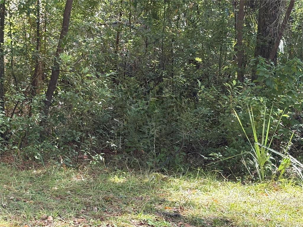 1228 CLOVER TERRACE, INVERNESS, FL — photo 2 of 6