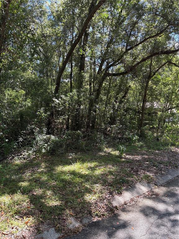 1228 CLOVER TERRACE, INVERNESS, FL — photo 3 of 6