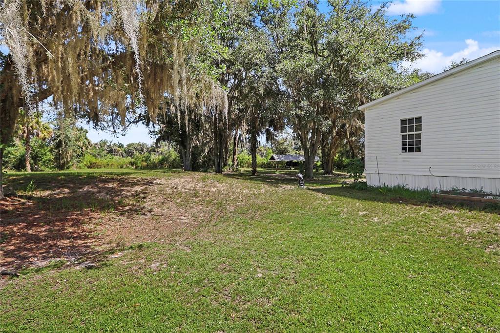 A grassy backyard with mature trees and a white-sided house exterior on the right — 5435 NE 153RD PLACE ROAD, CITRA, FL