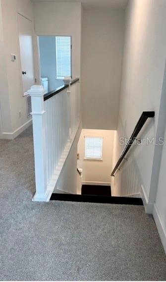A carpeted hallway leads to a staircase with a white railing and a black handrail — 12632 CLEAR SAPPHIRE DRIVE, WINTER GARDEN, FL