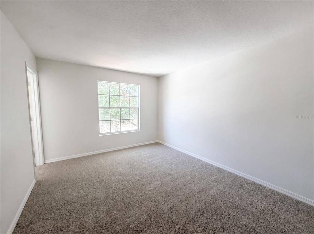An empty bedroom with light gray walls, beige carpet, and a single window — 8116 RIVER MONT WAY, TEMPLE TERRACE, FL