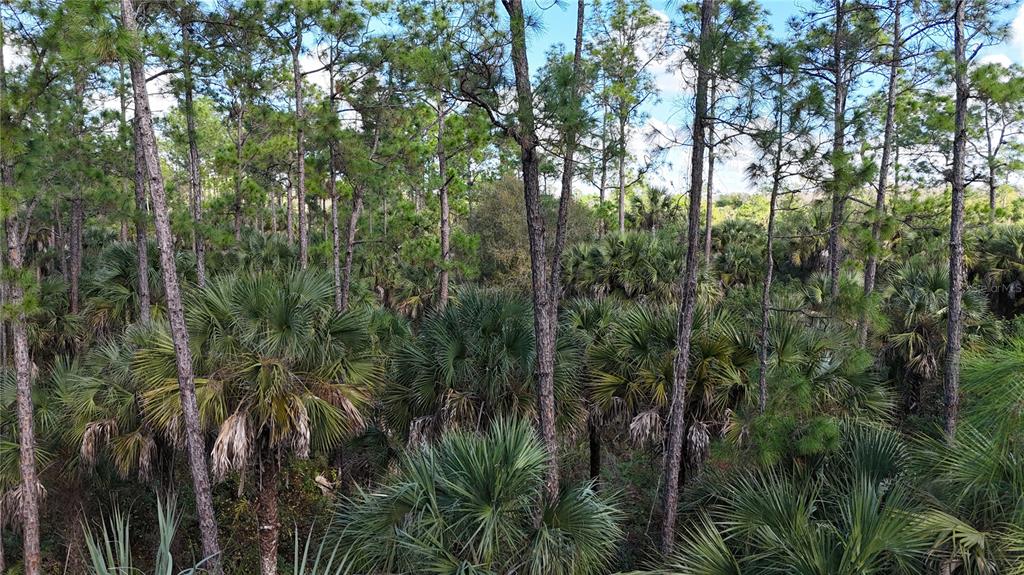16TH AVE SE, NAPLES, FL — photo 3 of 22