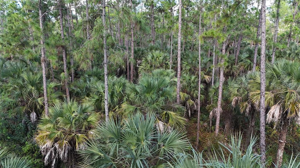 16TH AVE SE, NAPLES, FL — photo 4 of 22