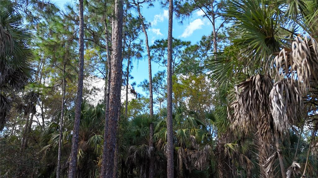 16TH AVE SE, NAPLES, FL — photo 5 of 22