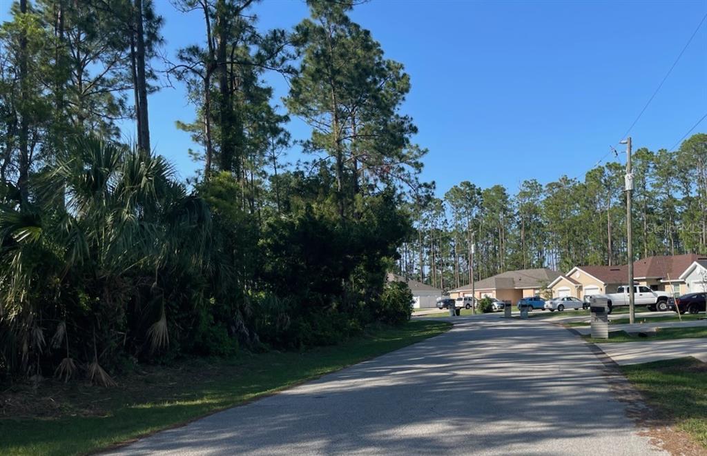 33 PONDEROSA LANE