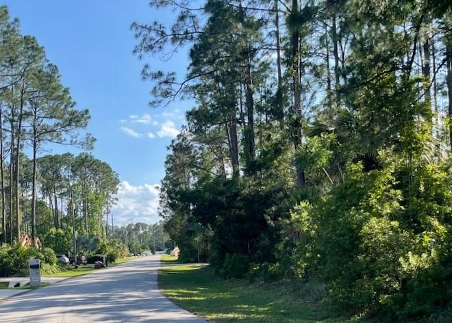 A paved road winds through a wooded area with tall pine trees under a blue sky — 33 PONDEROSA LANE, PALM COAST, FL