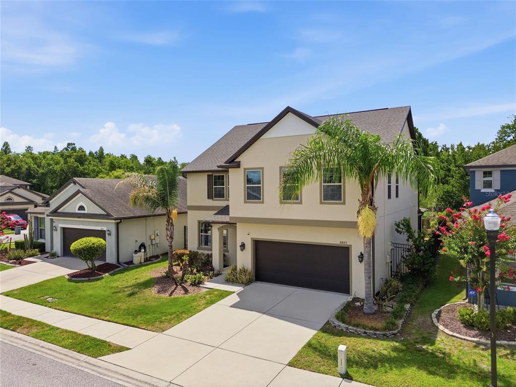 A two-story suburban house with a tan exterior, a two-car garage, and two palm trees — 30643 WALKER CUP PLACE, WESLEY CHAPEL, FL