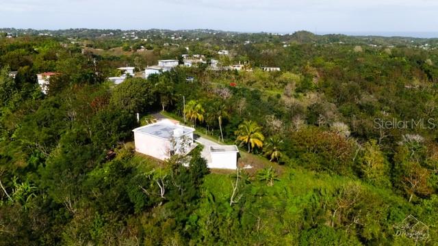 An aerial view shows a light-colored house surrounded by dense green trees and vegetation — 0 BO CRUCES, CARR. 115 RAMAL 4414 KM HM 2.5 ROAD, AGUADA, PR