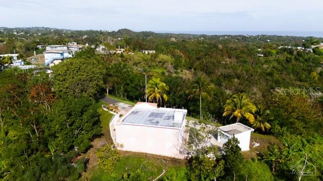 An aerial view shows a light-colored house with a flat roof surrounded by lush greenery — 0 BO CRUCES, CARR. 115 RAMAL 4414 KM HM 2.5 ROAD, AGUADA, PR