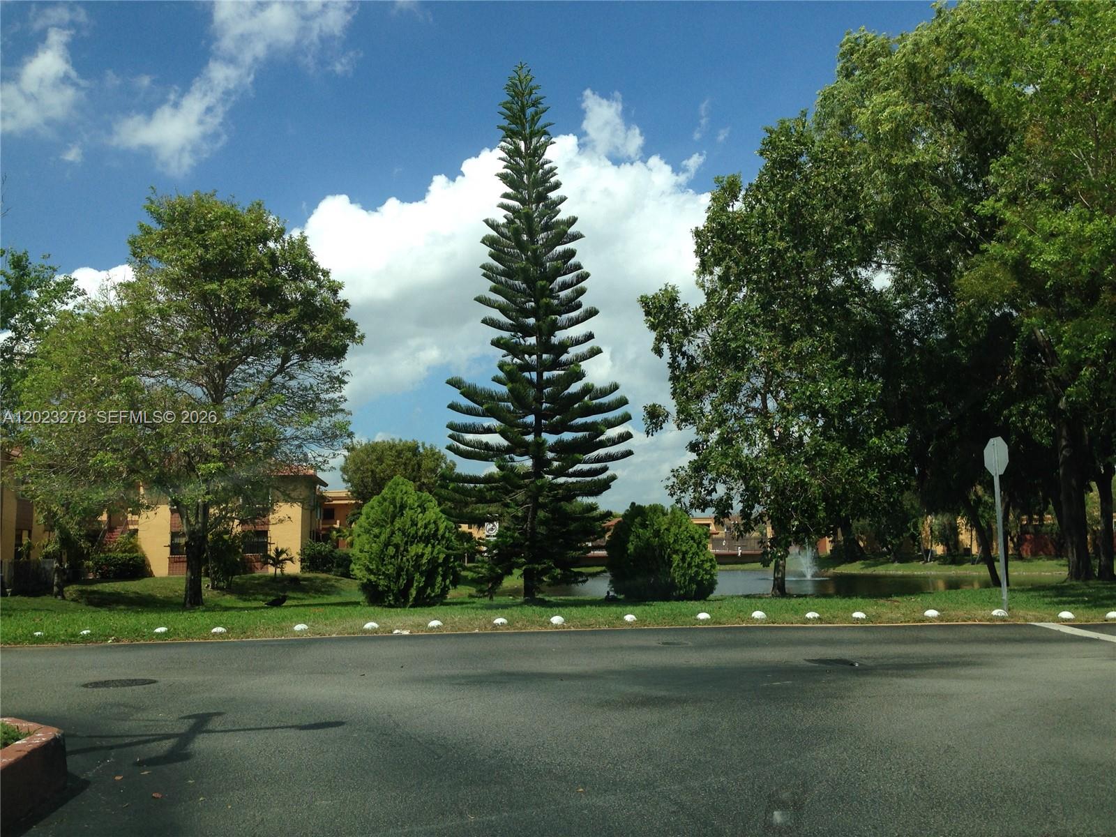 A tall pine tree stands in a grassy area near a pond and apartment buildings — 10893 NW 7th St # 27, Miami FL 33172, MIAMI, FL