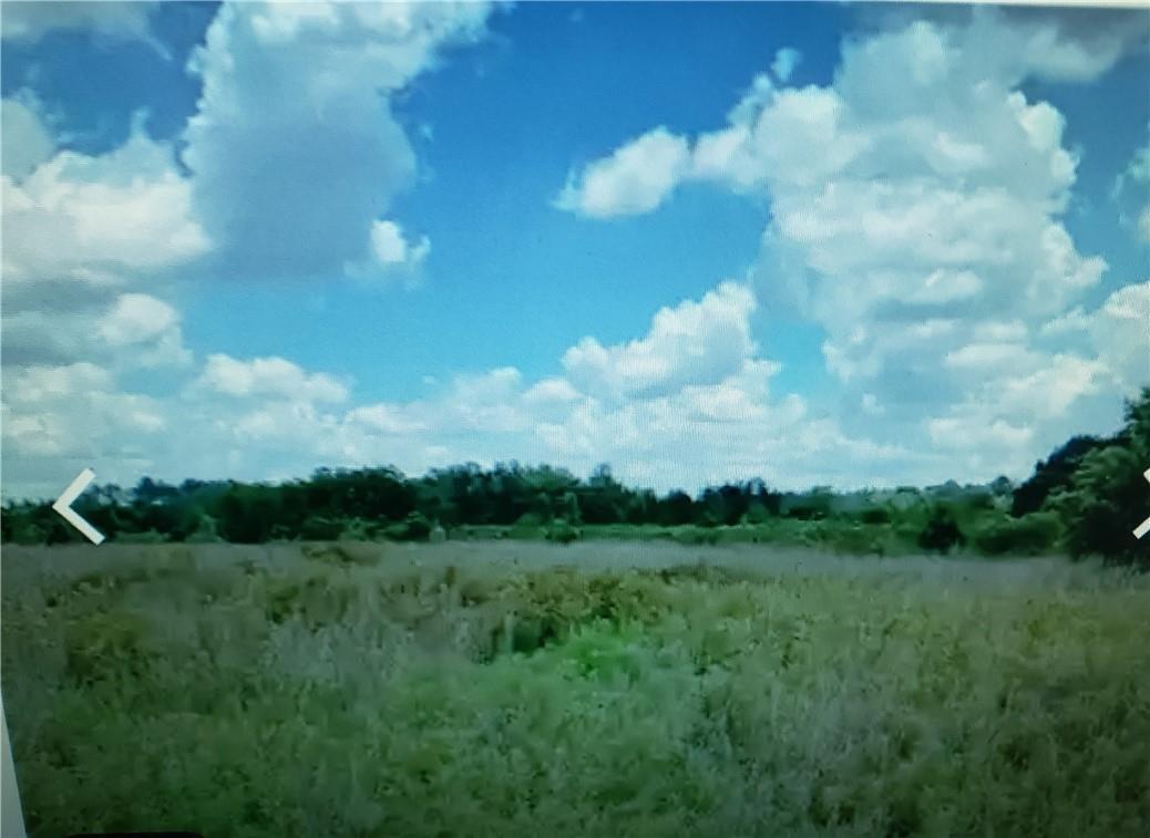 Lot D6 Palm Circle, FL 32008, FL — photo 3 of 8