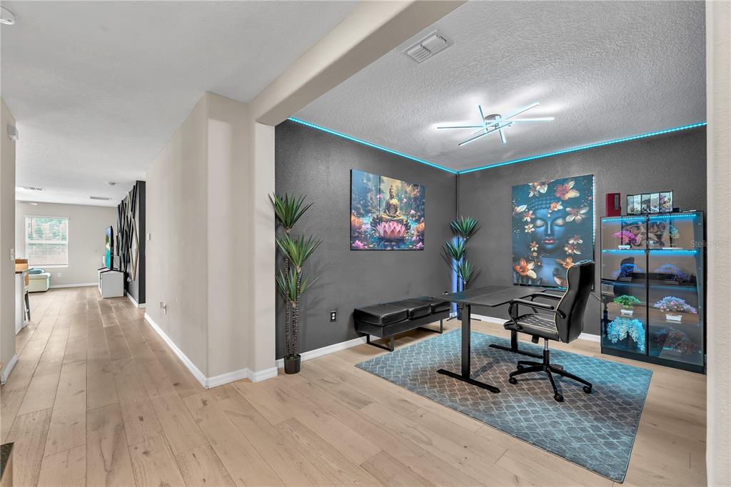 A home office features a dark accent wall, blue LED lighting, and a glass display cabinet — 1911 FAN ALOE WAY, RUSKIN, FL