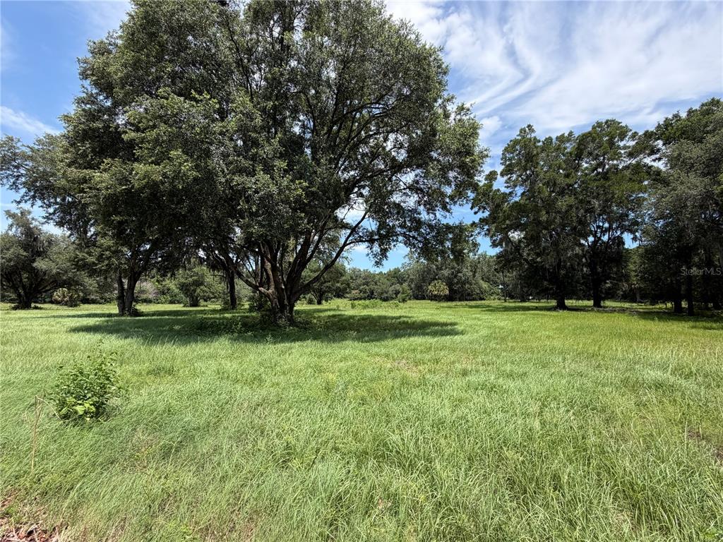 A large, grassy field features several mature trees under a blue sky with clouds — 12870 NW 28TH AVENUE, REDDICK, FL