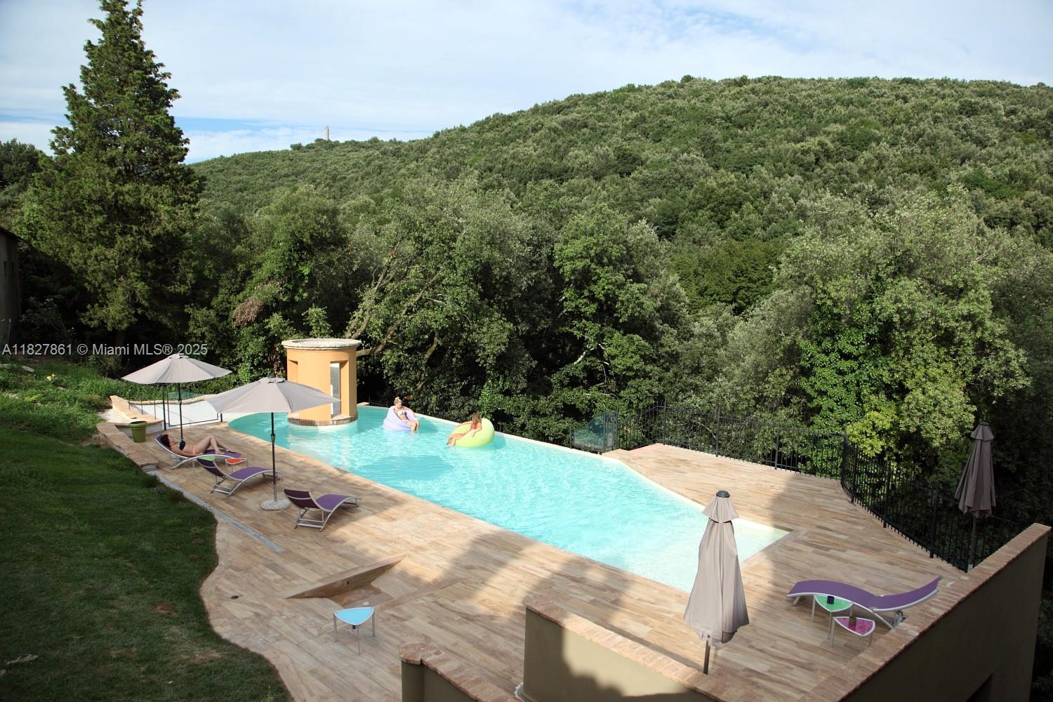 An outdoor swimming pool with lounge chairs and umbrellas overlooks a dense forest — HOTEL FOR SALE UMBRIA ITALY, 0, 0