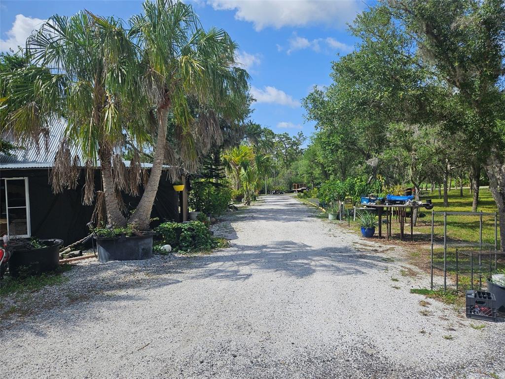 A gravel driveway leads past a small house and trees toward a wooded area — 21910 TAYLOR DRIVE, BRADENTON, FL