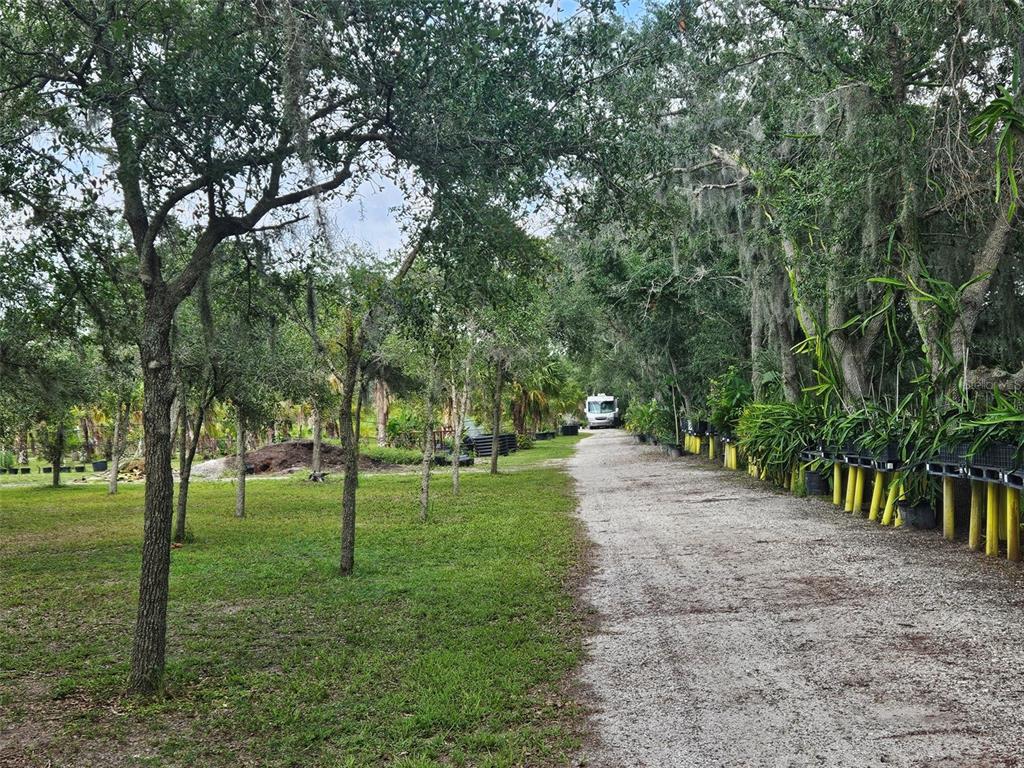 A gravel driveway leads past a grassy yard and rows of potted plants under trees — 21910 TAYLOR DRIVE, BRADENTON, FL