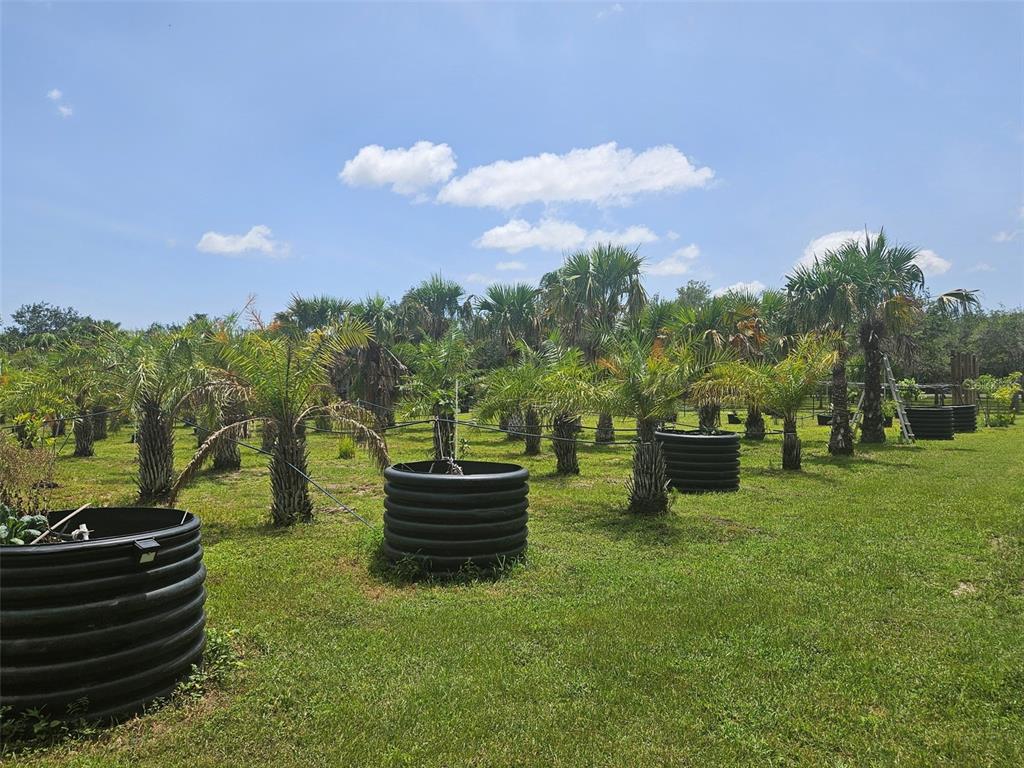A grassy field features several palm trees and large black plastic planting containers — 21910 TAYLOR DRIVE, BRADENTON, FL