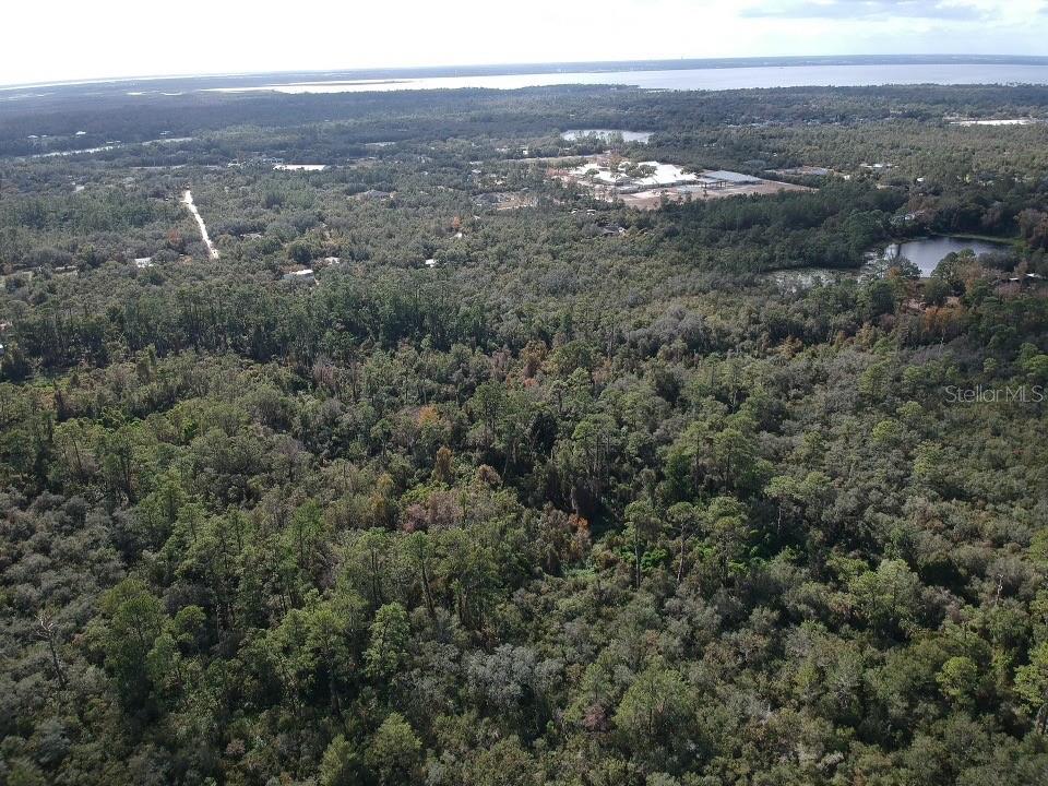 An aerial view shows a dense, wooded landscape with a small pond and distant buildings — 1488 ANDERSON STREET, DELTONA, FL