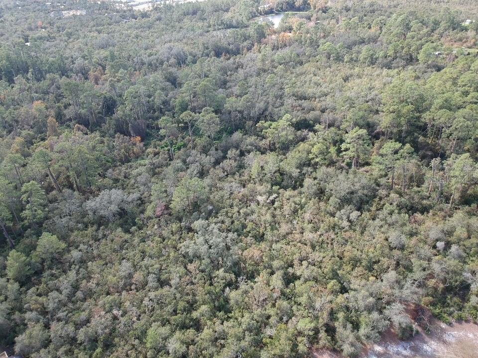 An aerial view shows a dense, wooded forest area with a small pond in the distance — 1488 ANDERSON STREET, DELTONA, FL