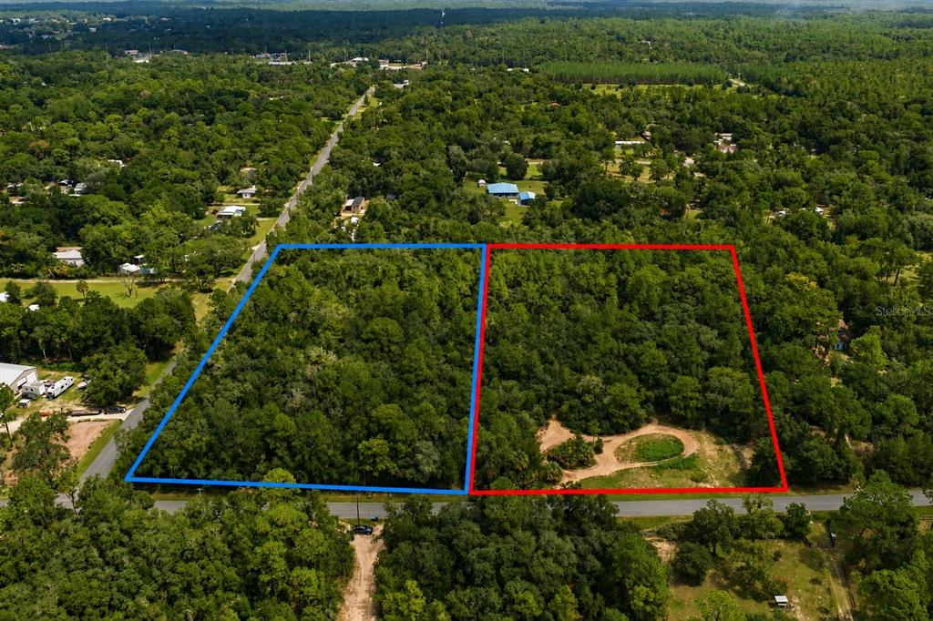 An aerial view shows two adjacent, wooded rectangular lots outlined in blue and red — 1345 E RAY STREET, HERNANDO, FL