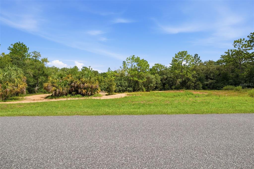 A paved road borders a grassy, undeveloped lot with scattered trees and shrubs — 1345 E RAY STREET, HERNANDO, FL