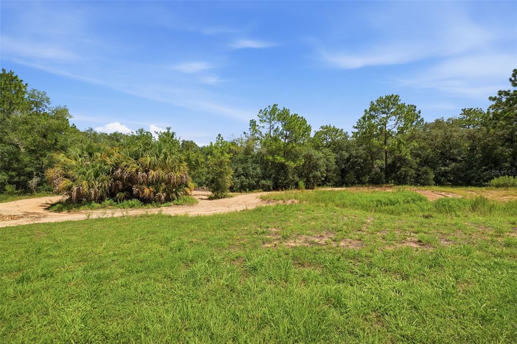 A grassy, undeveloped lot features a dirt path leading toward a cluster of trees — 1345 E RAY STREET, HERNANDO, FL