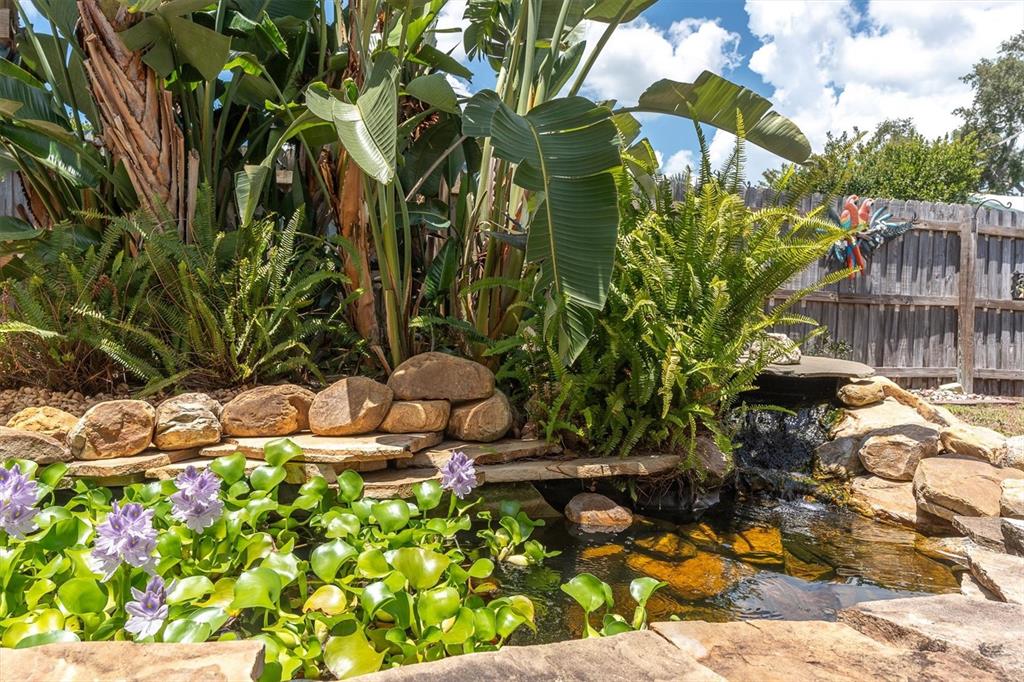 A backyard pond features a small waterfall, stone edging, and lush tropical plants — 1936 NUGGET DRIVE, CLEARWATER, FL