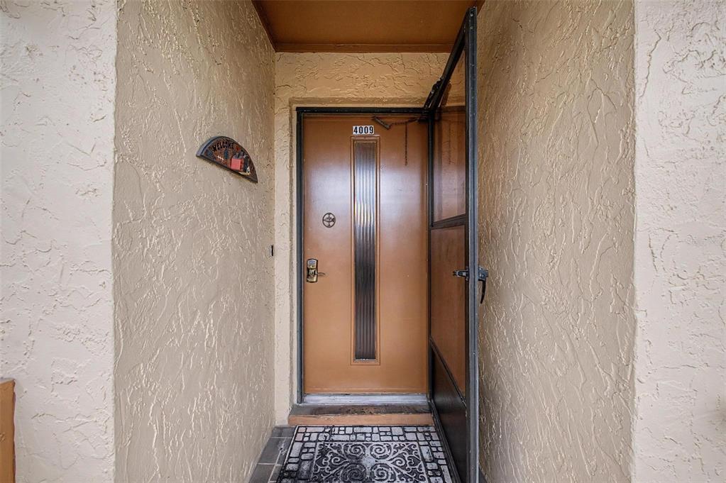 A brown front door with a vertical glass panel is set within a textured entryway — 4009 LIGHTHOUSE WAY, NEW PORT RICHEY, FL