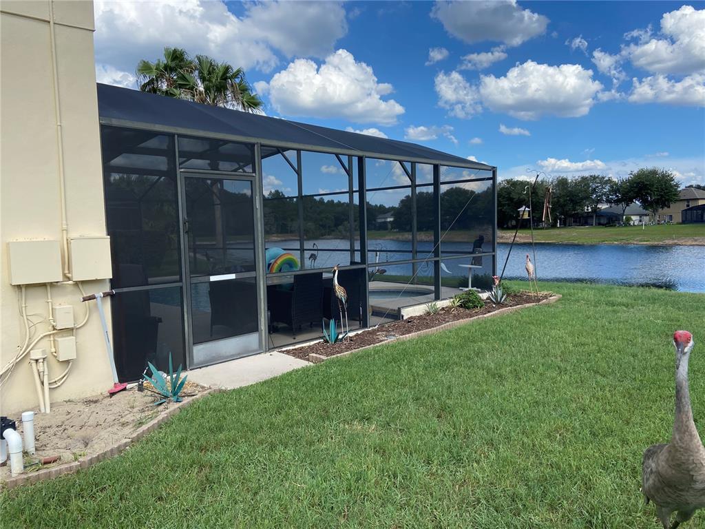 A screened-in pool enclosure sits on a grassy lawn beside a lake — 16740 GLENBROOK BOULEVARD, CLERMONT, FL