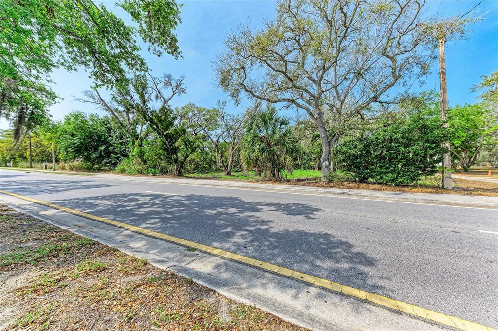 A paved road runs alongside a vacant, tree-filled lot under a clear blue sky — 820 S BENEVA ROAD, SARASOTA, FL