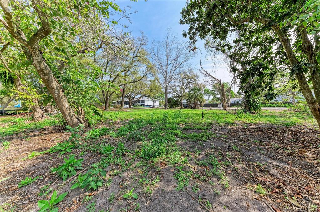 A vacant, grassy lot with scattered trees under a clear blue sky — 820 S BENEVA ROAD, SARASOTA, FL