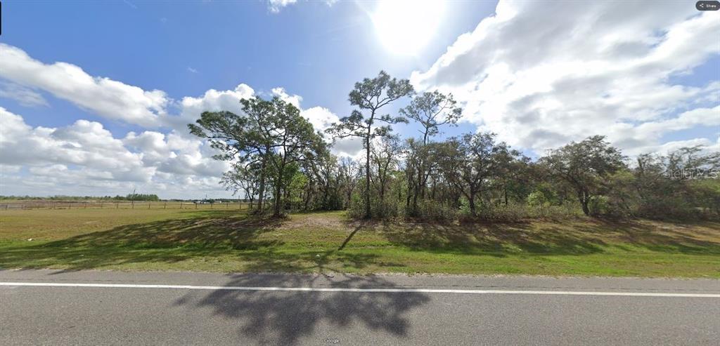 A grassy, tree-lined vacant lot sits adjacent to a paved road under a cloudy sky — COMMONWEALTH AVENUE N, POLK CITY, FL