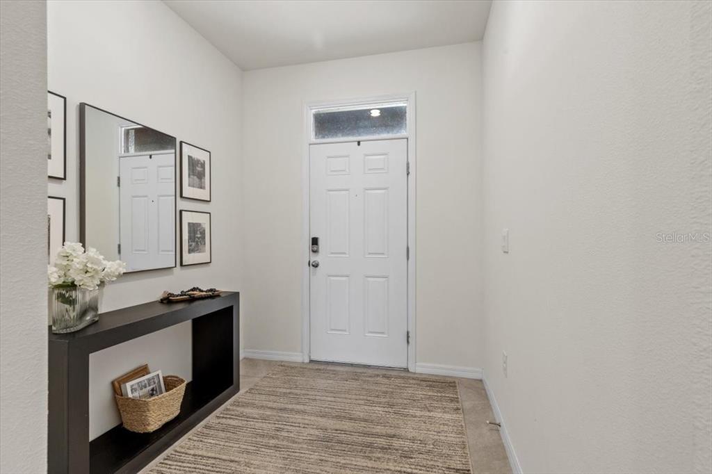 An entryway features a white door, a black console table, a mirror, and a rug — 33064 TULIP PETAL LANE, WESLEY CHAPEL, FL