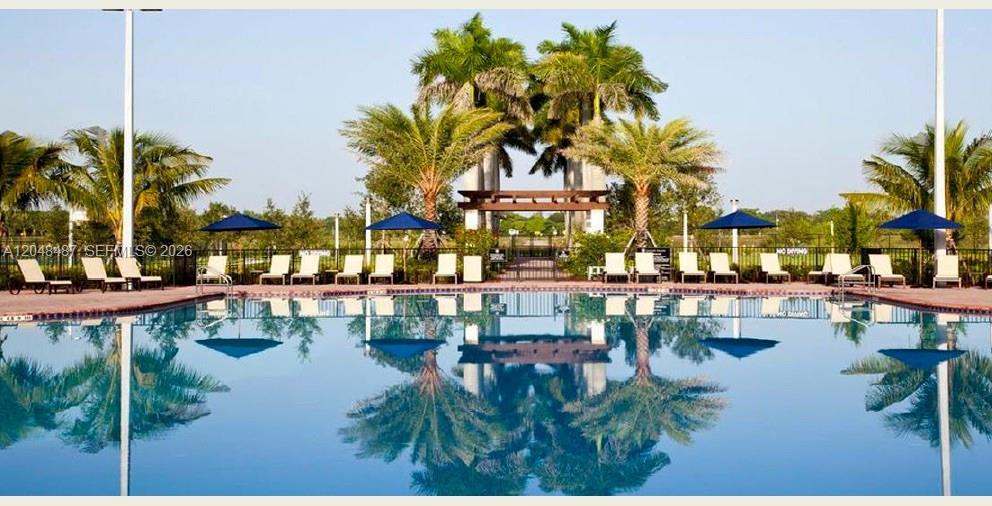 A swimming pool with lounge chairs and palm trees under a clear blue sky — HOMESTEAD, FL