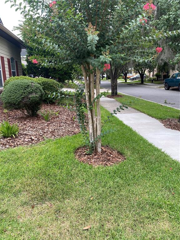 A crape myrtle tree stands in a front yard with mulch beds and a sidewalk — 8389 SW 80TH PLACE, GAINESVILLE, FL