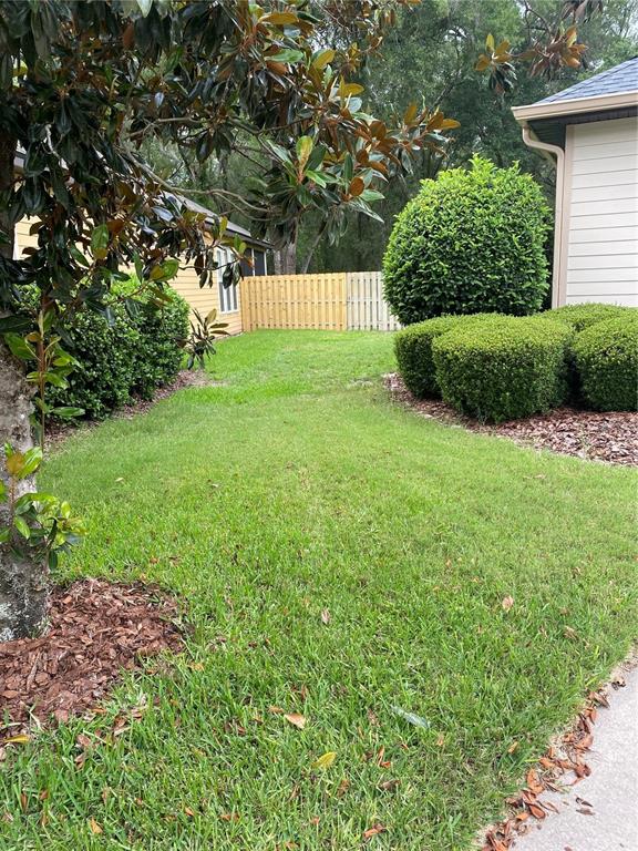 A grassy backyard features a wooden fence, manicured shrubs, and a large magnolia tree — 8389 SW 80TH PLACE, GAINESVILLE, FL