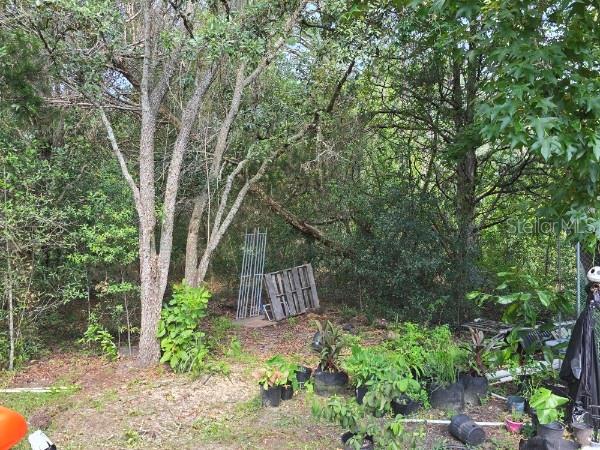 720 S FAIRLANE TERRACE, LECANTO, FL — photo 3 of 11