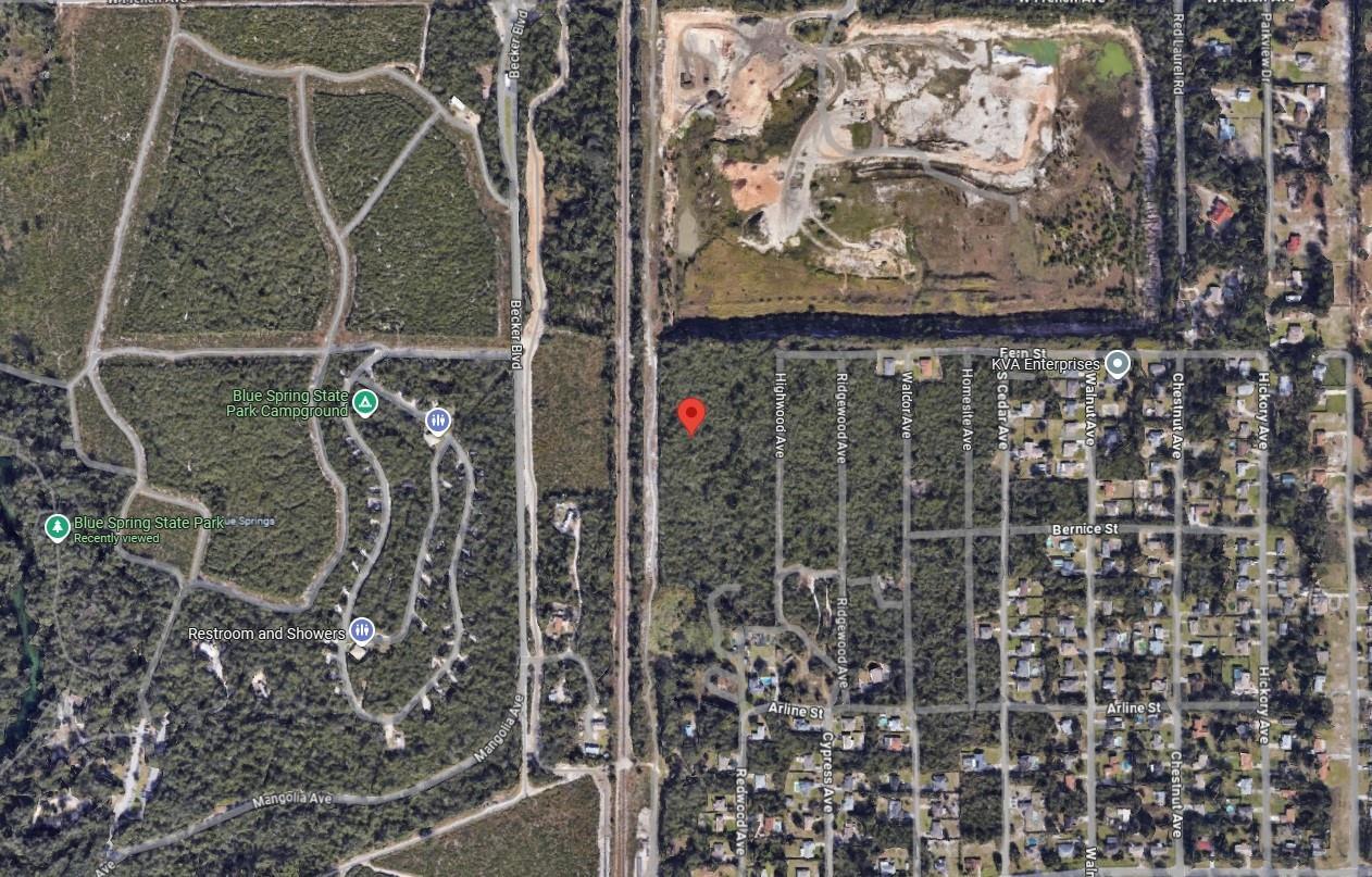 This is a satellite map view showing a wooded lot near a state park — 0 Riegel Paper, FL 32763, FL