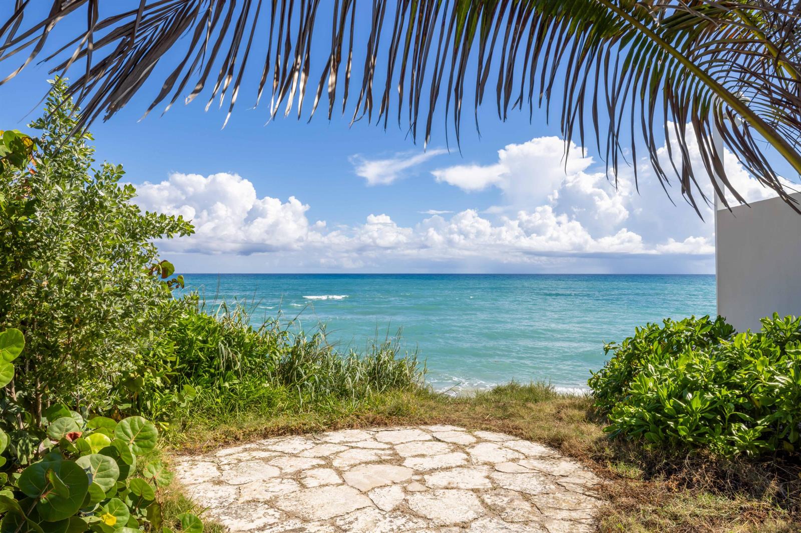 A stone patio overlooks the ocean framed by palm fronds and lush green vegetation — 1048 S Ocean Boulevard, Palm Beach FL 33480, PALM BEACH, FL
