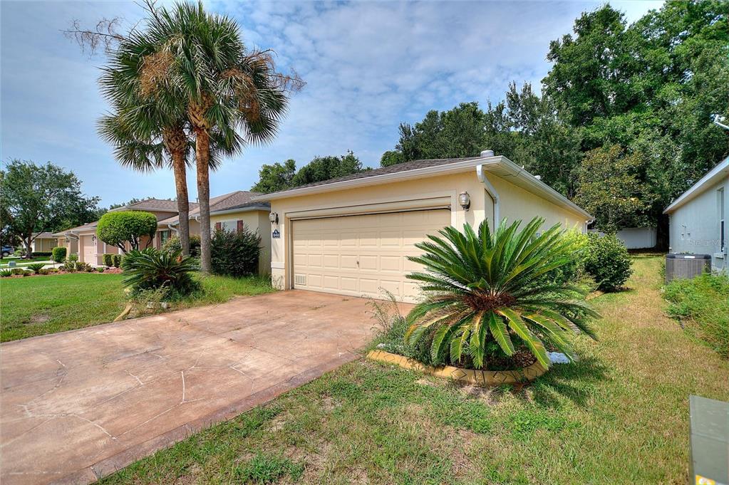 A beige house features a single-car garage, a concrete driveway, and a large palm tree — 16416 SW 15TH COURT, OCALA, FL