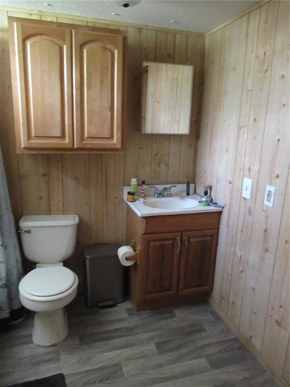 A bathroom features wood-paneled walls, a vanity with a sink, a toilet, and upper cabinets — 7814 TURKEY CREEK ROAD, PLANT CITY, FL