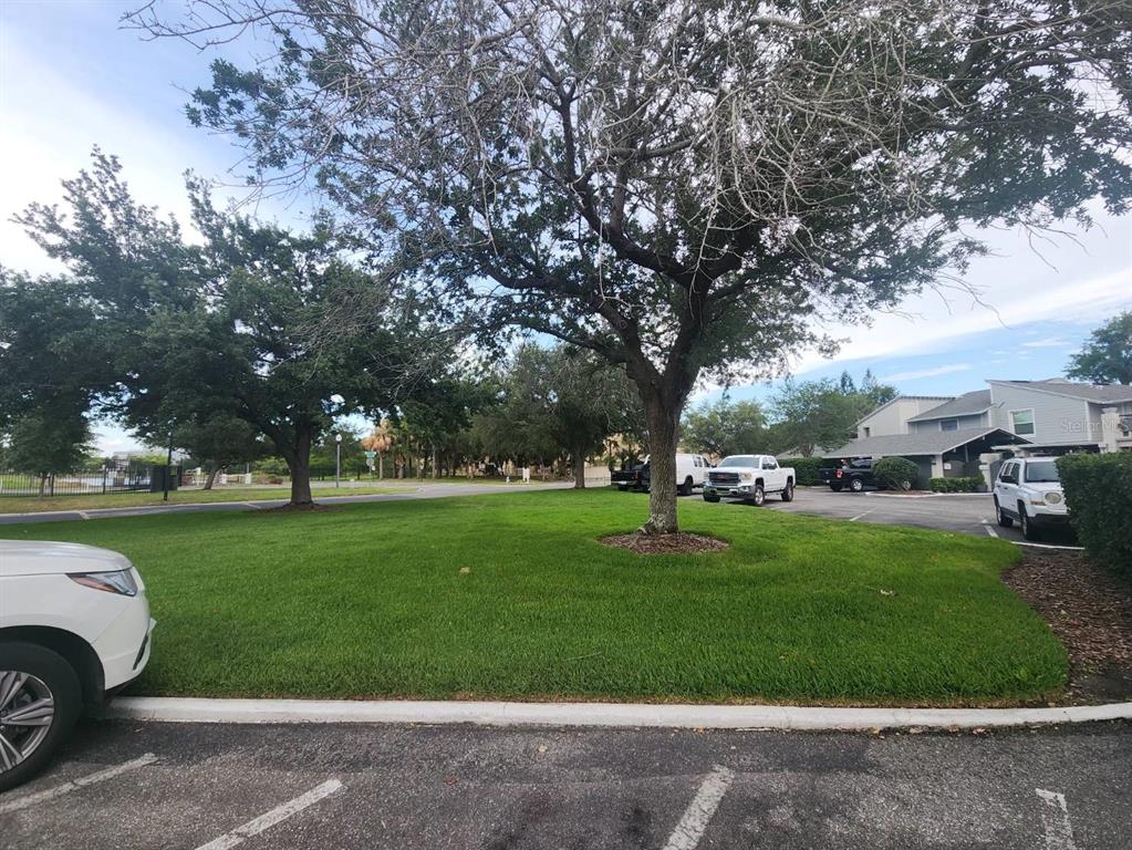 A grassy lawn with mature trees sits between a parking lot and apartment buildings — 5312 CYPRESS CREEK DRIVE UNIT 104, ORLANDO, FL