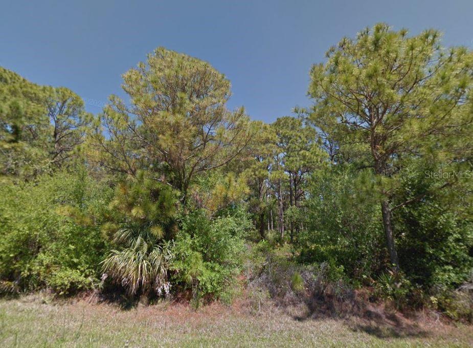 A wooded lot with pine trees and dense undergrowth under a clear blue sky — 13184 KETRIDGE AVENUE, PORT CHARLOTTE, FL
