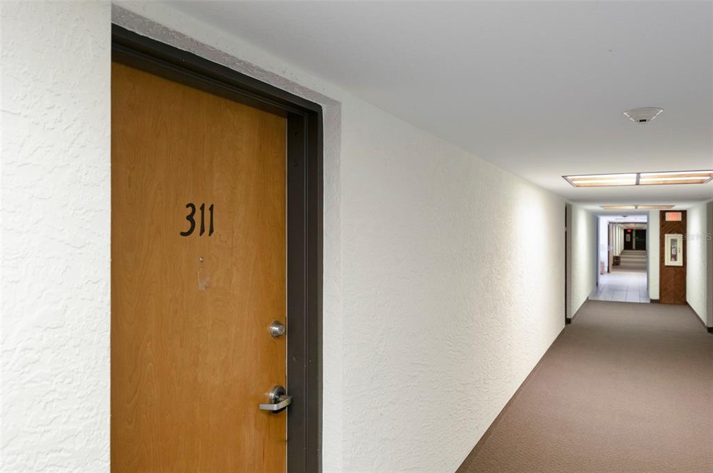 A wooden door labeled 311 opens into a long, carpeted apartment building hallway — 2595 COUNTRYSIDE BOULEVARD UNIT 8311, CLEARWATER, FL