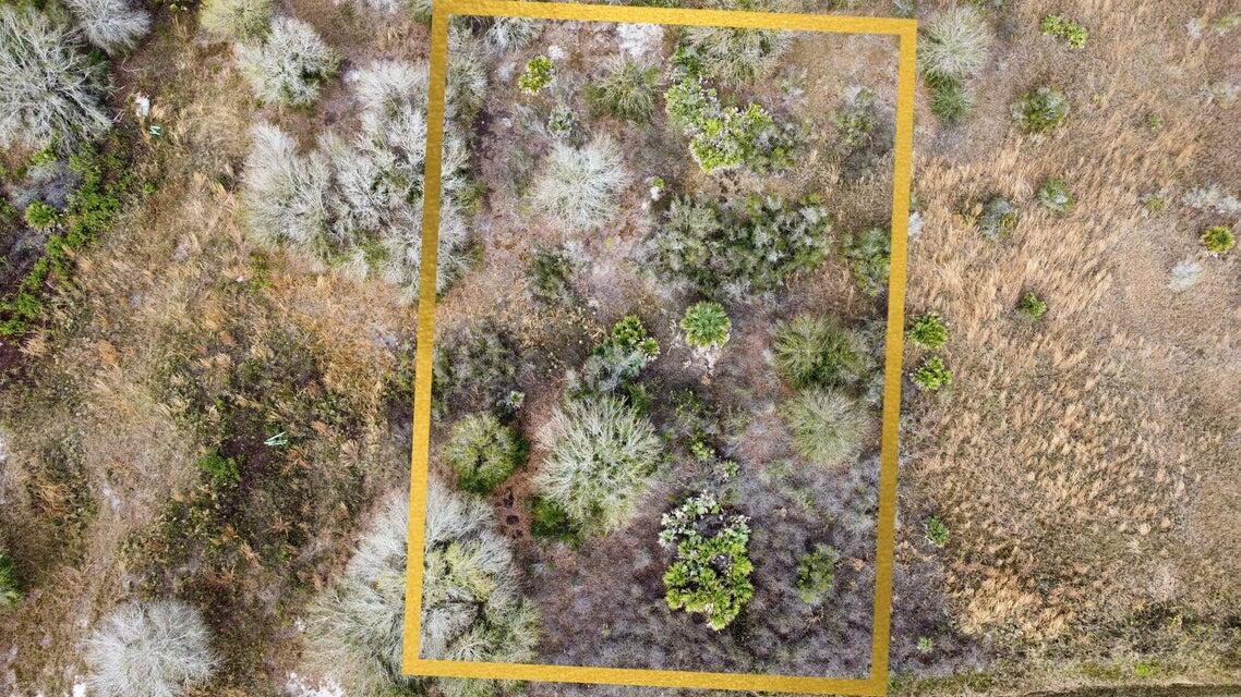 An aerial view shows a rectangular plot of land covered in scrubby vegetation and trees — 20167 NW 264th Street, Okeechobee FL 34972, OKEECHOBEE, FL