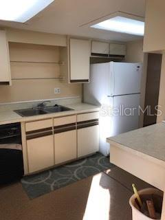 A kitchen features light-colored cabinetry, a double sink, a white refrigerator, and a patterned rug — 431 W RICH AVENUE UNIT 429, DELAND, FL